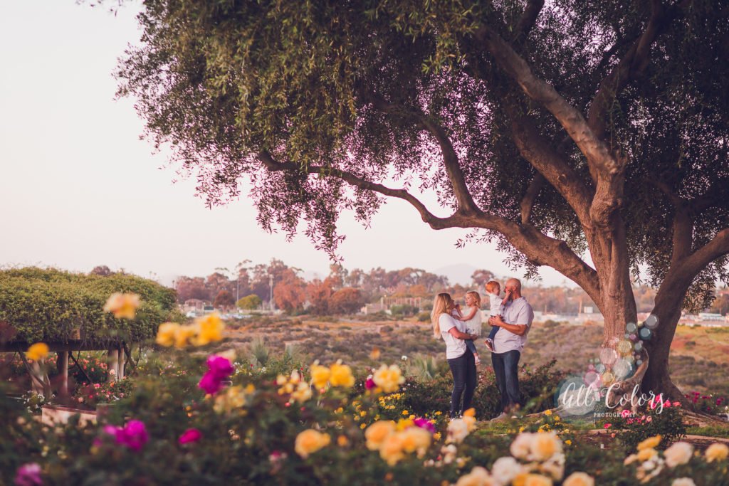 🌸 반노스 공원(반노스 코엔) 이미지 7